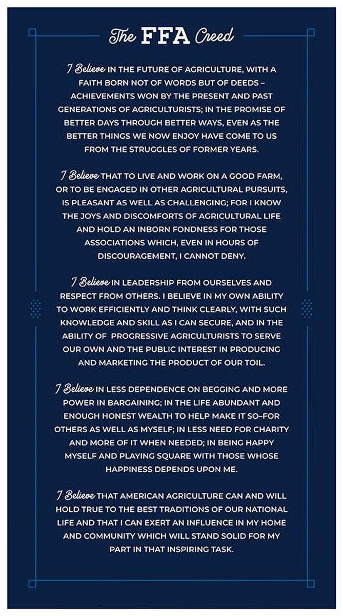 FFA Forever Blue 2 FFA Creed Panel