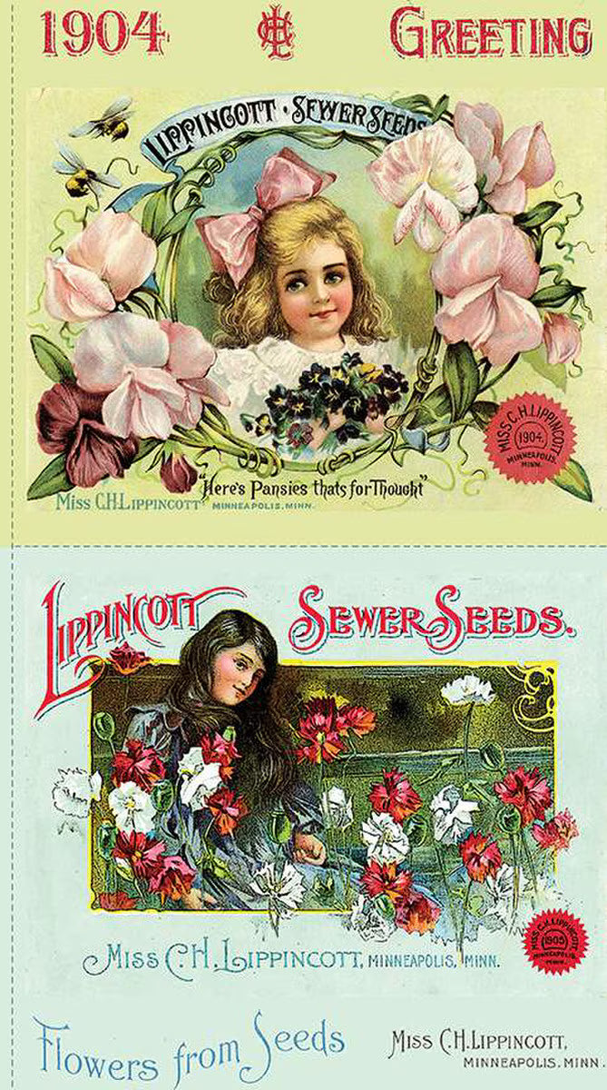 Sewing Seeds III Pillow Sham Panel