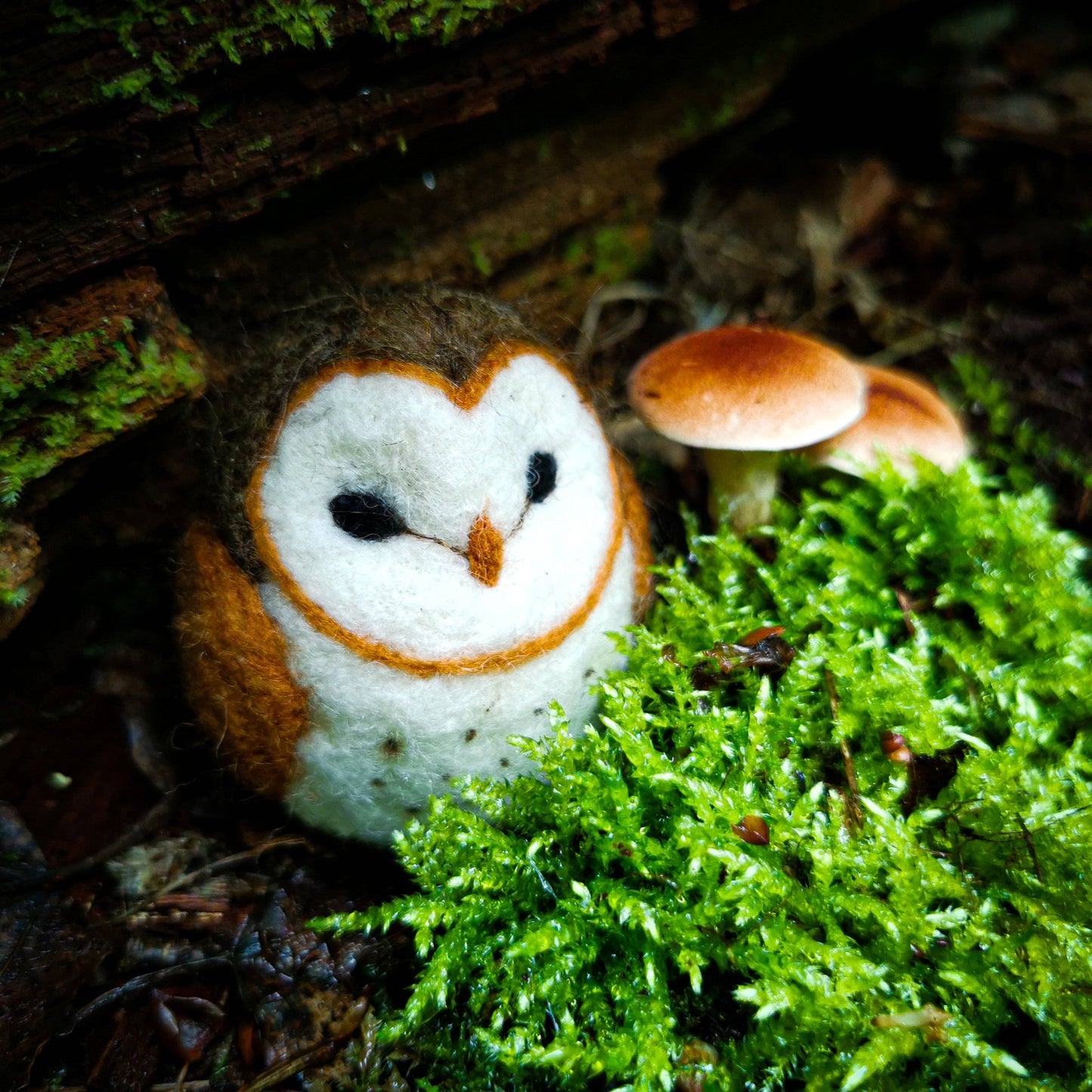 Barn Owl, Needle Felting Kit